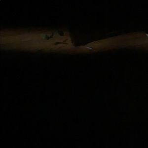 Meet your Posher, Caleb